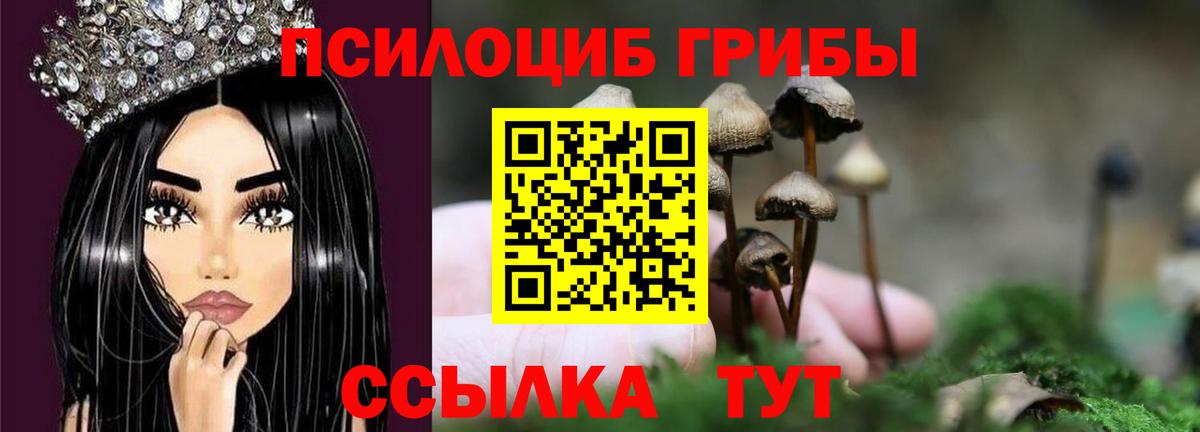 Татарск  Галлюциногенные грибы мицелий  Галлюциногенные грибы прущие грибы  Вход с VPN 